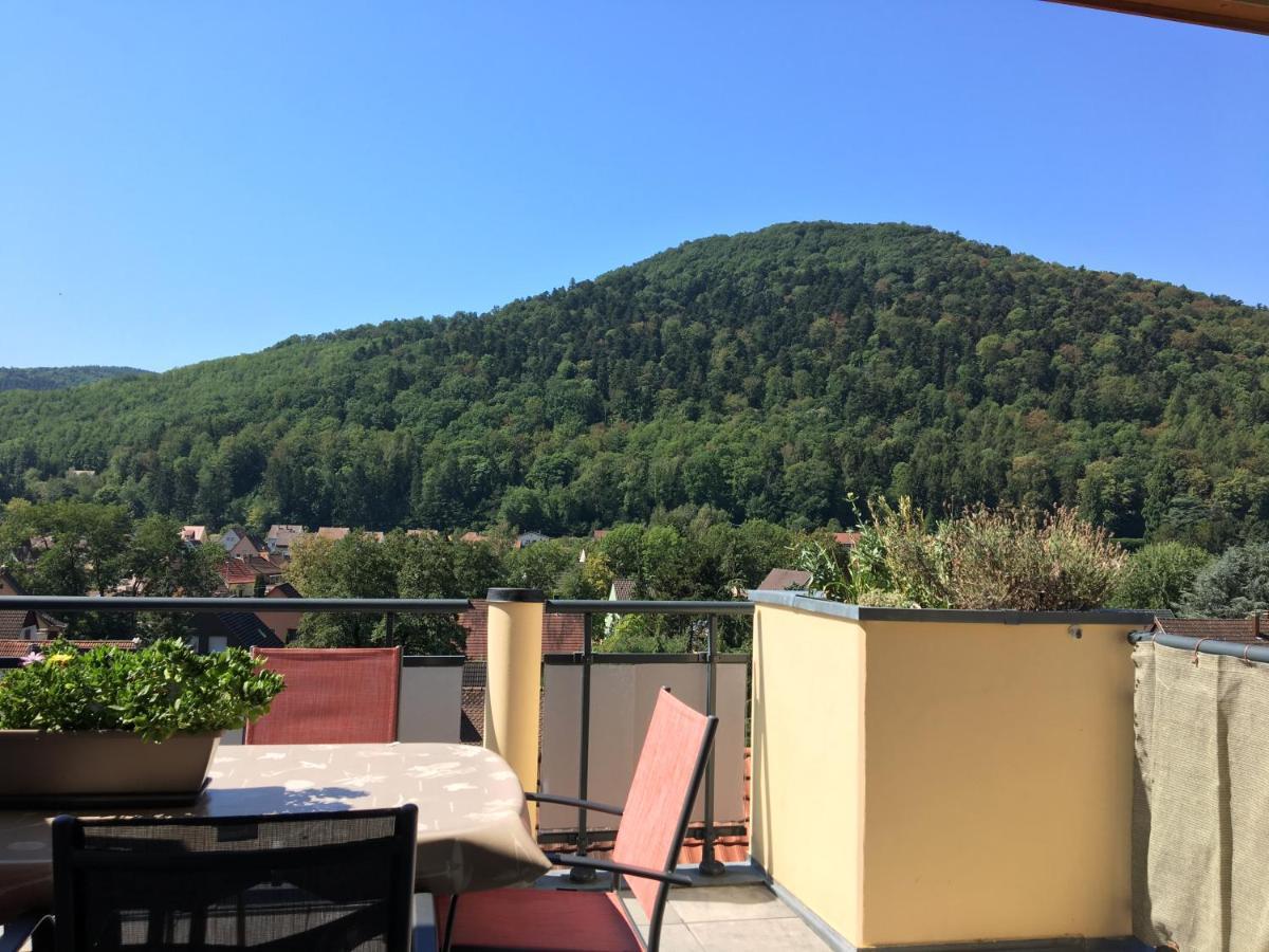 Le Panorama Kaysersberg-Vignoble Exterior foto