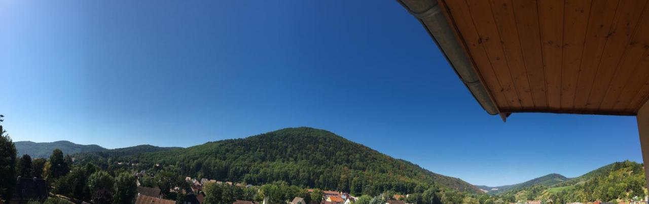 Le Panorama Kaysersberg-Vignoble Exterior foto